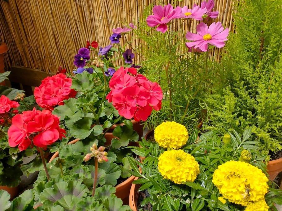 Apartment The Boutique Garden York